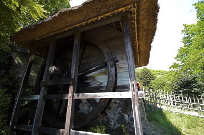 20070503-4.jpg