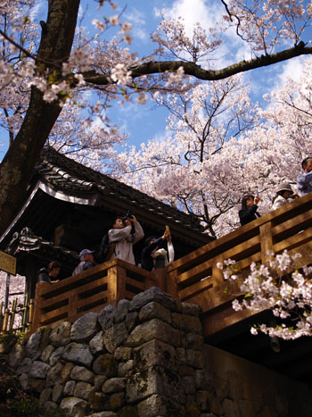 20070602-2.jpg