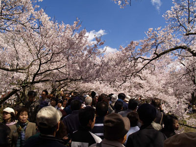 20070602-4.jpg