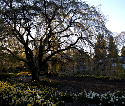 20070607-2.jpg