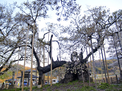 20070607-3.jpg