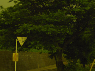 20070615-0.jpg