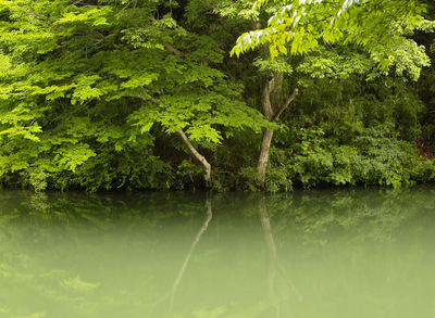 20070615-4.jpg