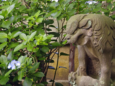 20070618-2.jpg