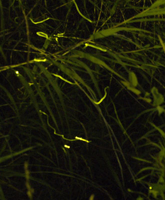 20070621-2.jpg