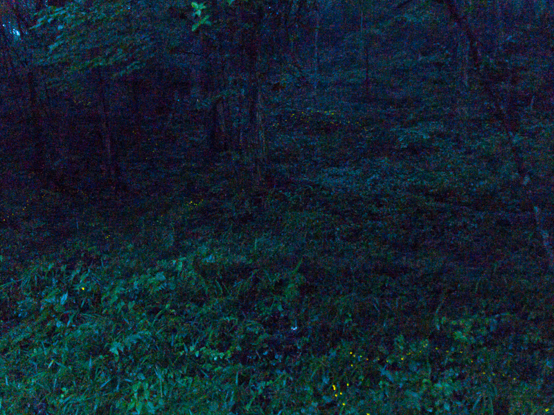 20070701-1.jpg
