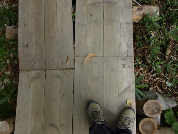 20071008-7.jpg