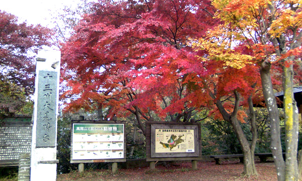 20071118-1.jpg