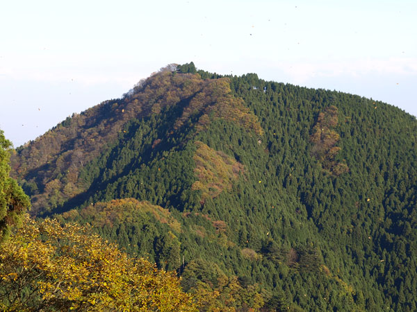 20071118-10.jpg