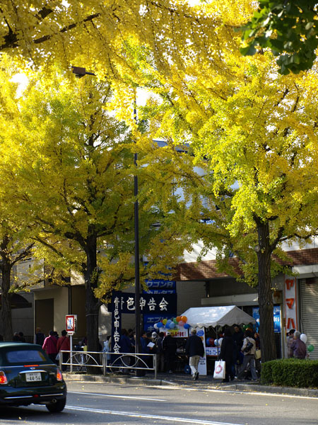 20071118-2.jpg