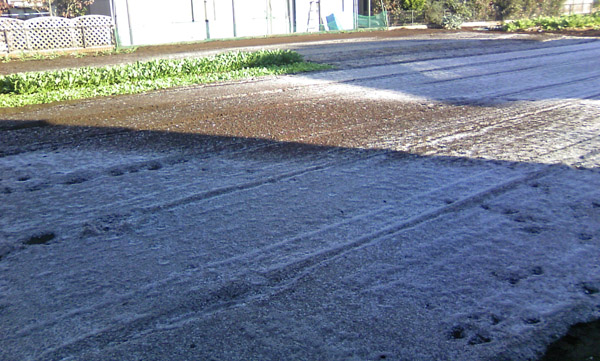 20071118-4.jpg