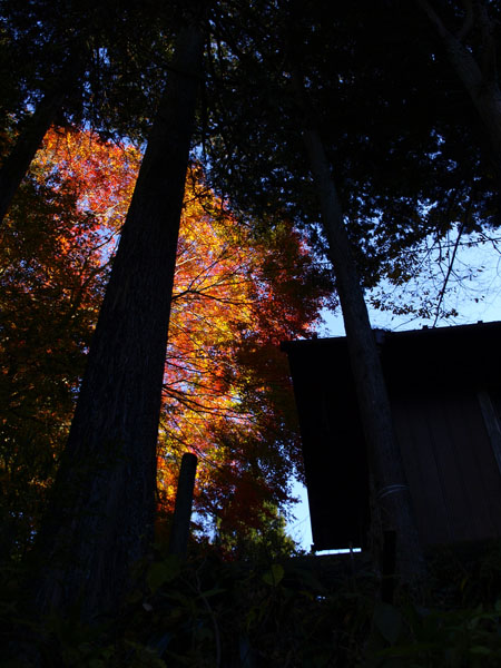 20071118-8.jpg