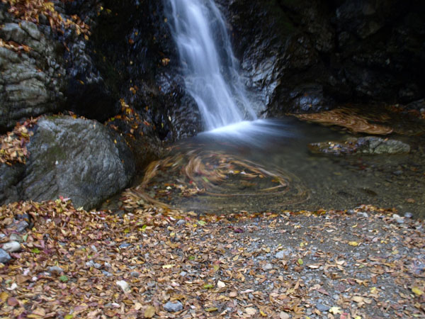 20071118-9.jpg