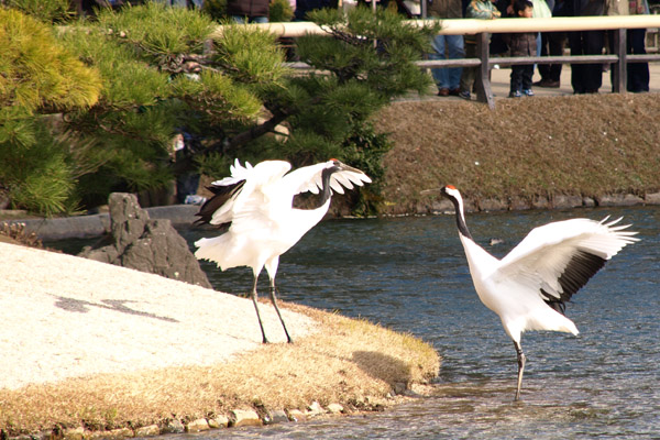 20080111-1.jpg