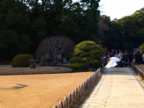 20080111-4.jpg
