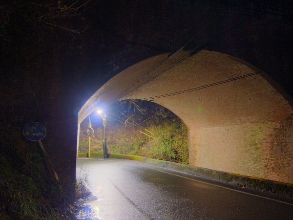 20080131-1.jpg