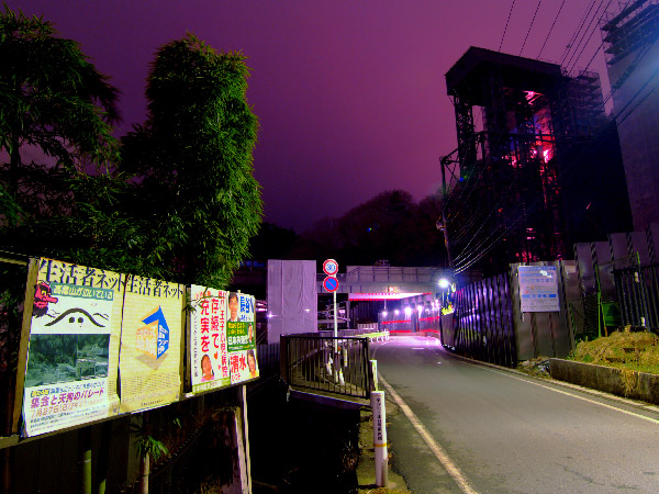 20080131-3.jpg