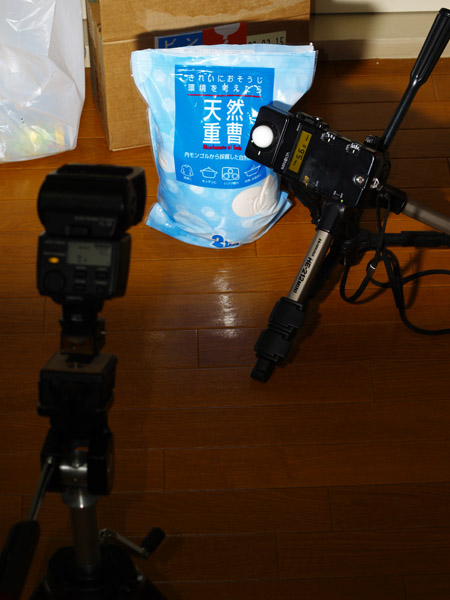 20090213-02.jpg