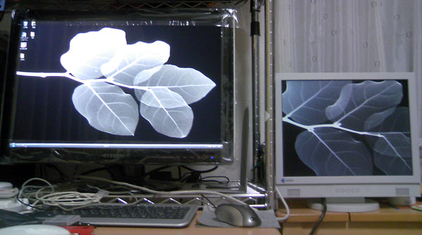 20090321-1.jpg