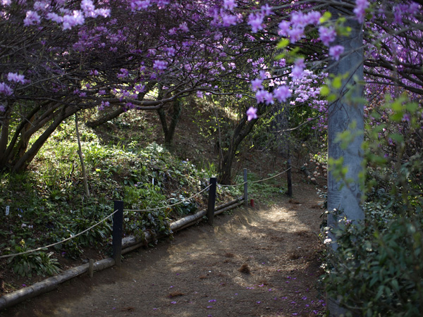 20090413-2.jpg