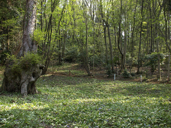 20090413-4.jpg