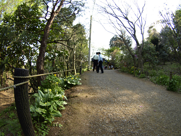 20090413-8.jpg