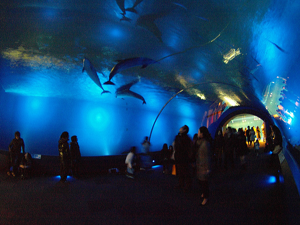 20100229-4.jpg