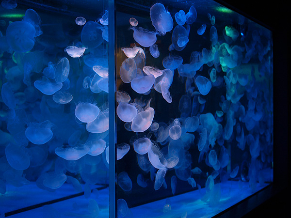 20100229-5.jpg