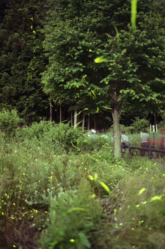 20100615_18.jpg