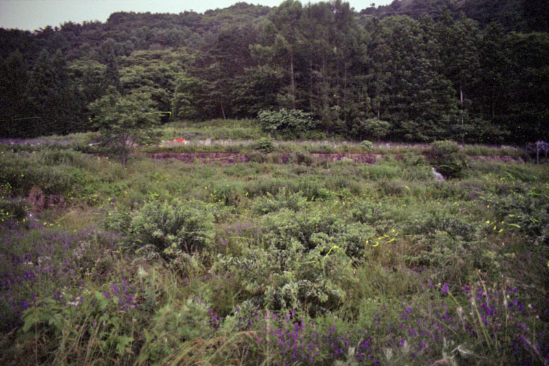 20100615_21.jpg