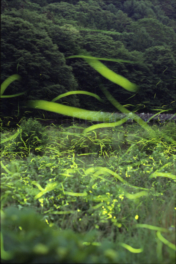 20100625_05.jpg