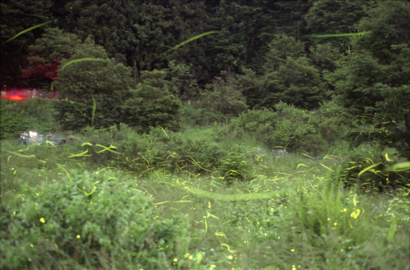 20100625_11.jpg