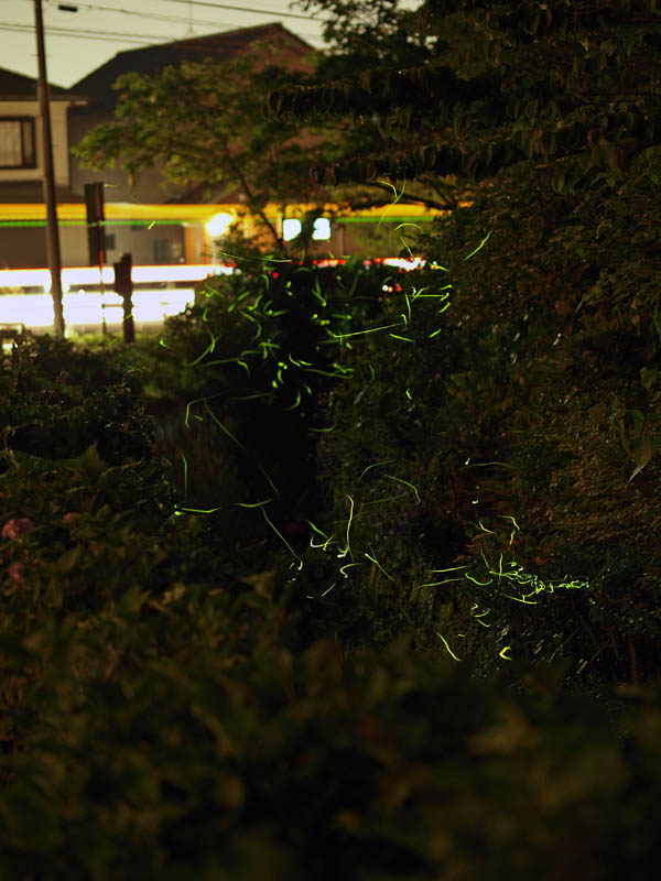 20120617.jpg