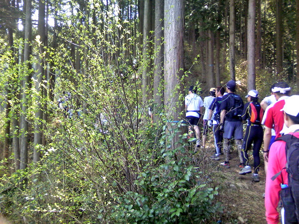 DCF_0436.jpg