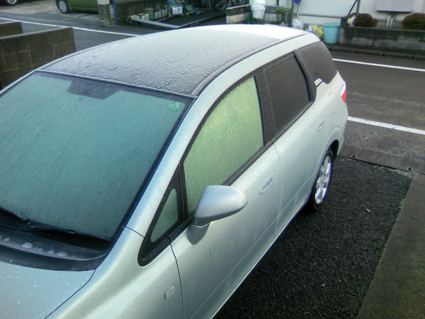 DCF_0879.jpg