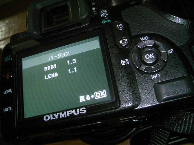 DCF_0959.jpg