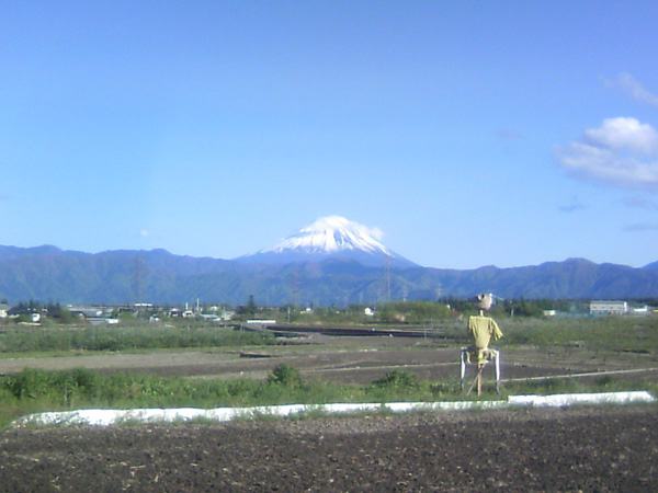 DCF_1043.jpg