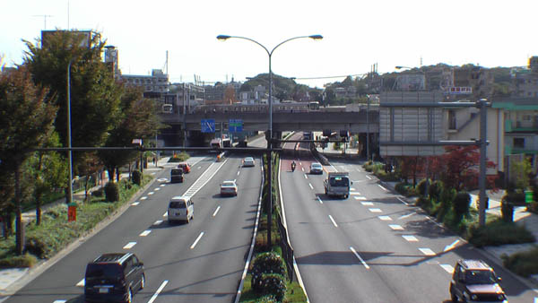 IMGA0026.jpg