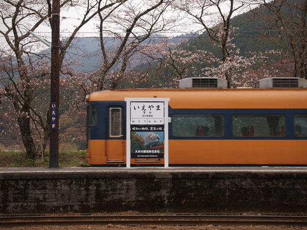 P4030570_.jpg