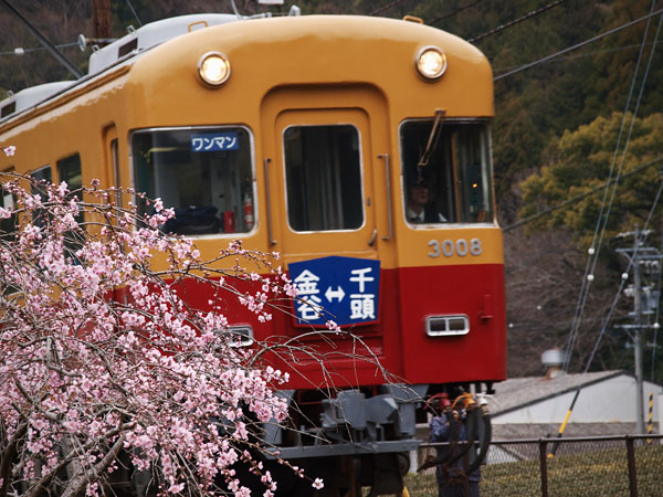 P4030614_.jpg