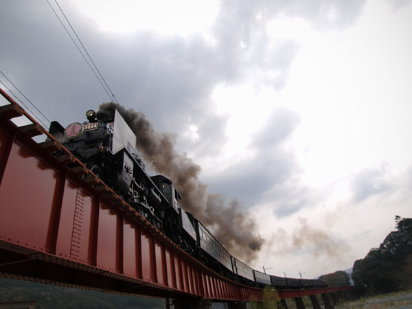 P4030775_.jpg