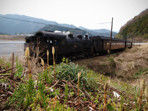P4030791_.jpg