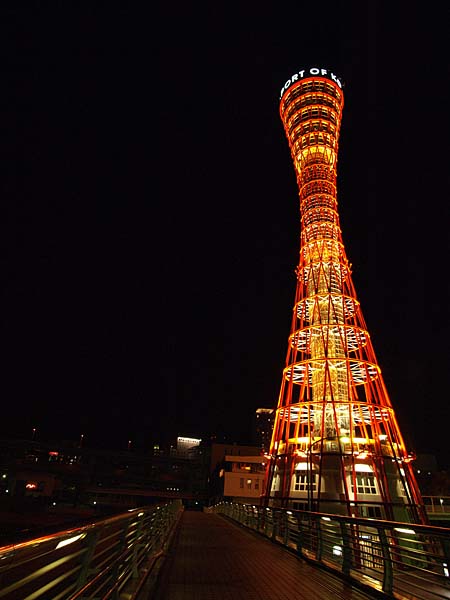 P4290440_.jpg