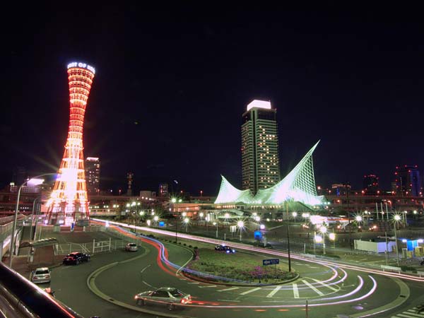 P4290501_.jpg