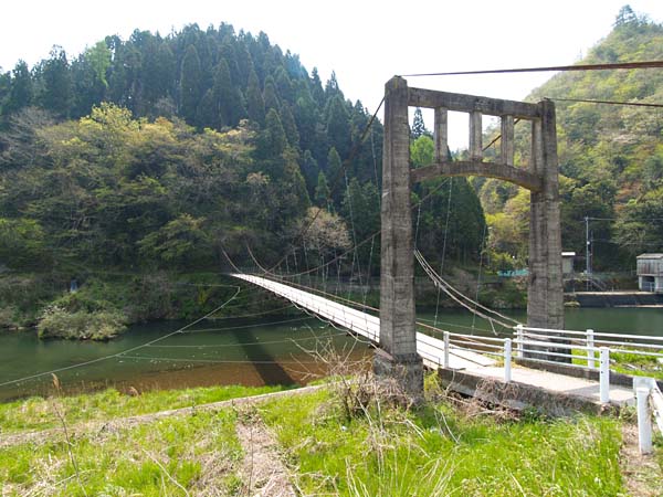 P5044947.jpg