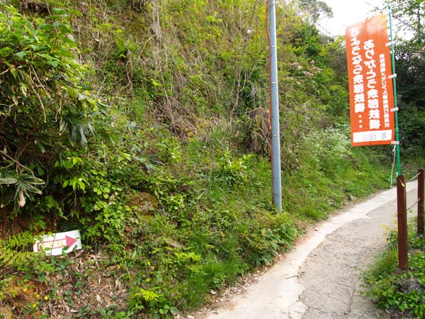 P5045240.jpg