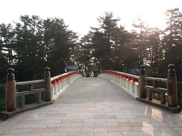 P5055438.jpg