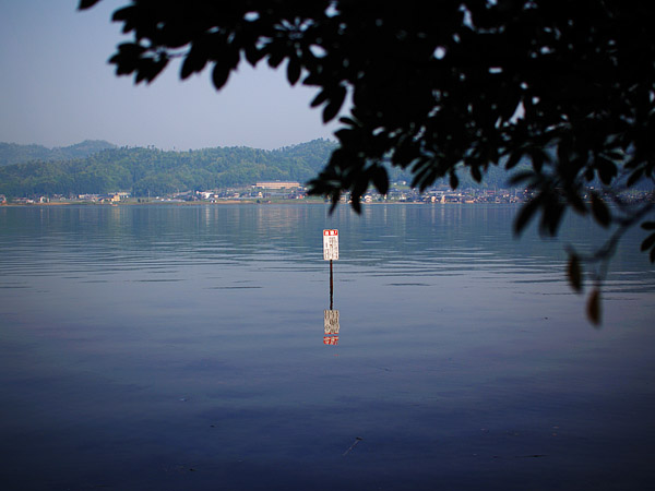 P5055481.jpg