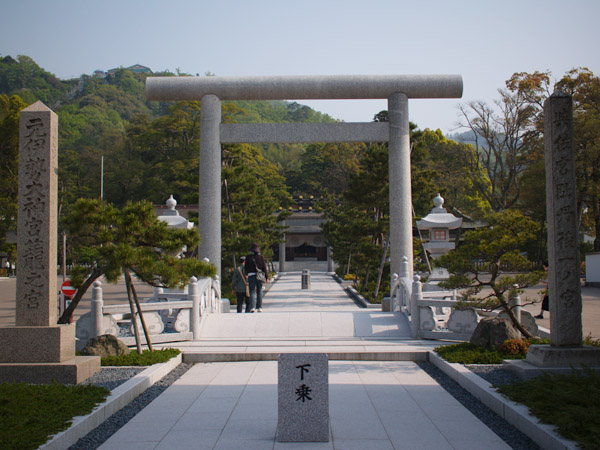 P5055488.jpg
