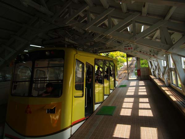 P5055511.jpg